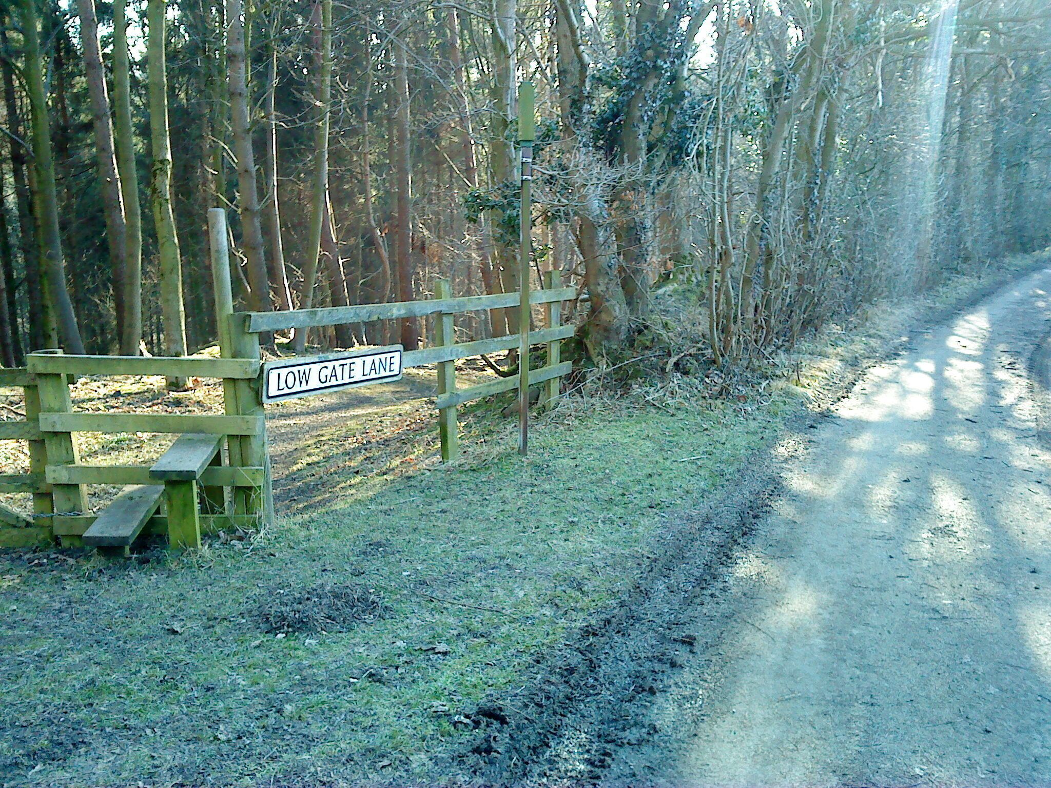 FP leaves Low Gate Lane This footpath leaves Low Gate Lane and descends through Low Green Bank Wood to the River Skell. Low Gate Lane runs from the back of Sawley to Fountains Abbey.
