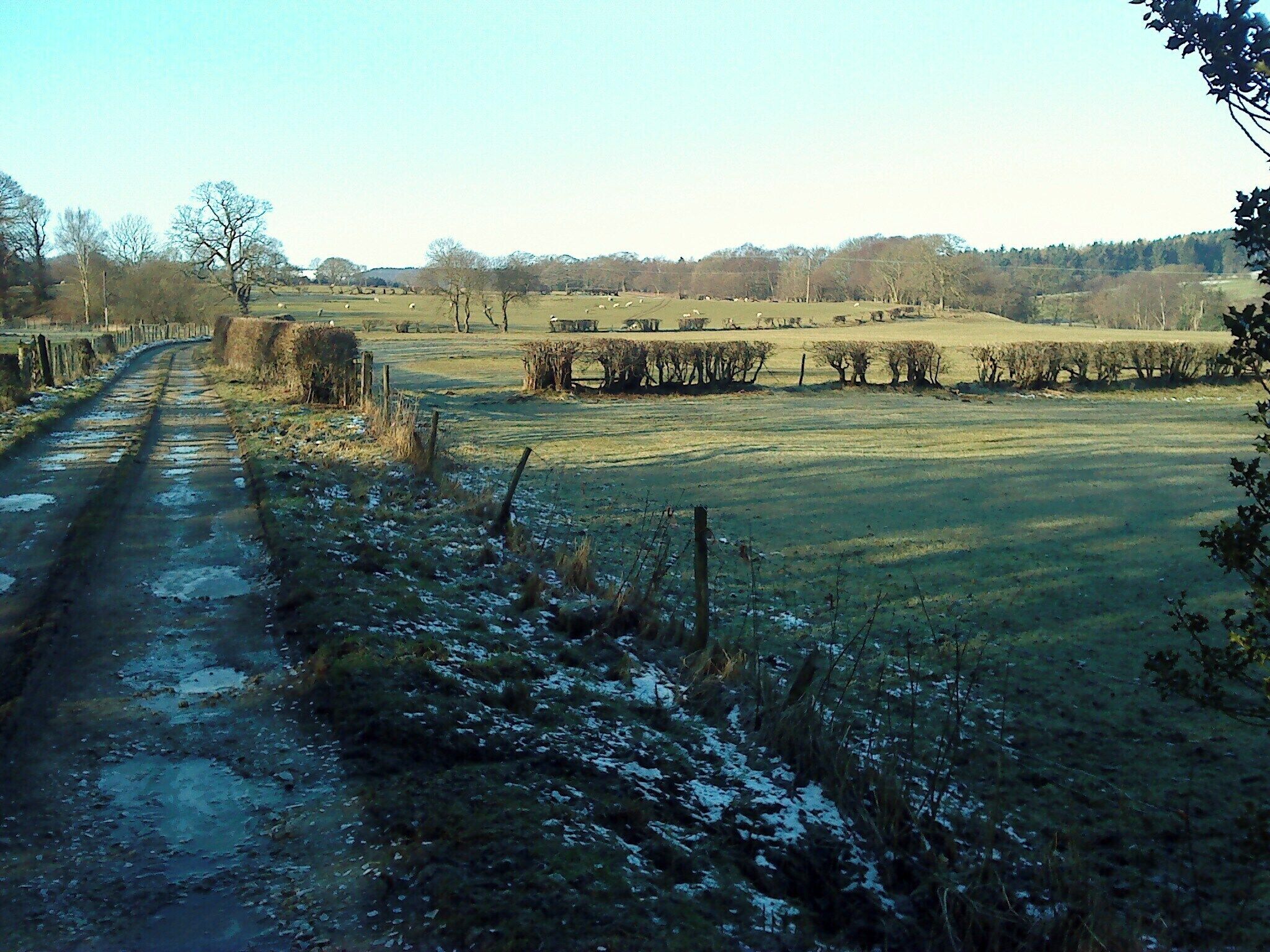 Upper Skell Valley The icy track leads to Hungate.