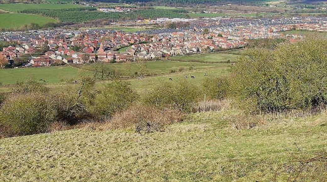 Langley Park. A commanding view from Esh village down into the Browney valley