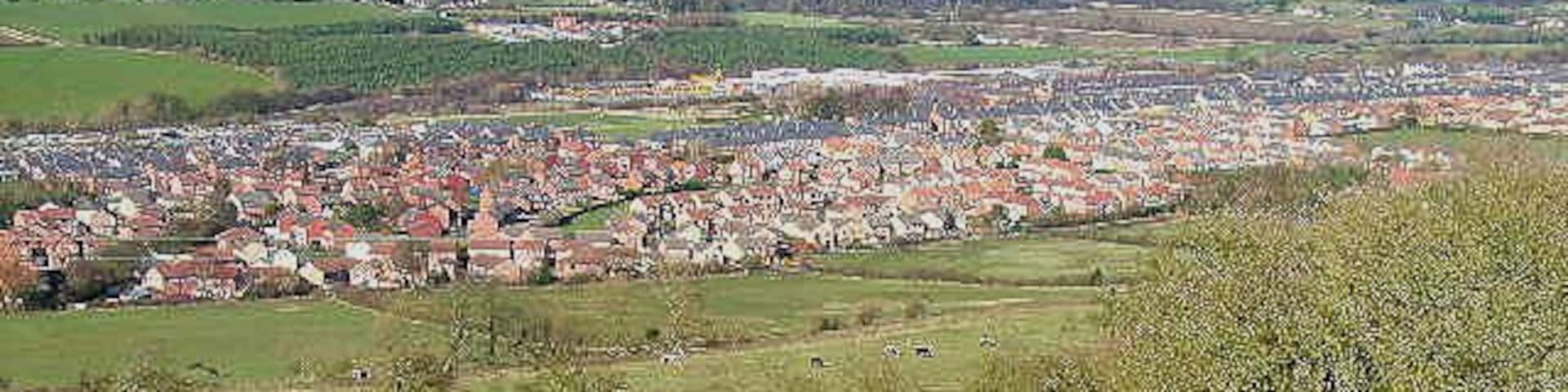 Langley Park. A commanding view from Esh village down into the Browney valley