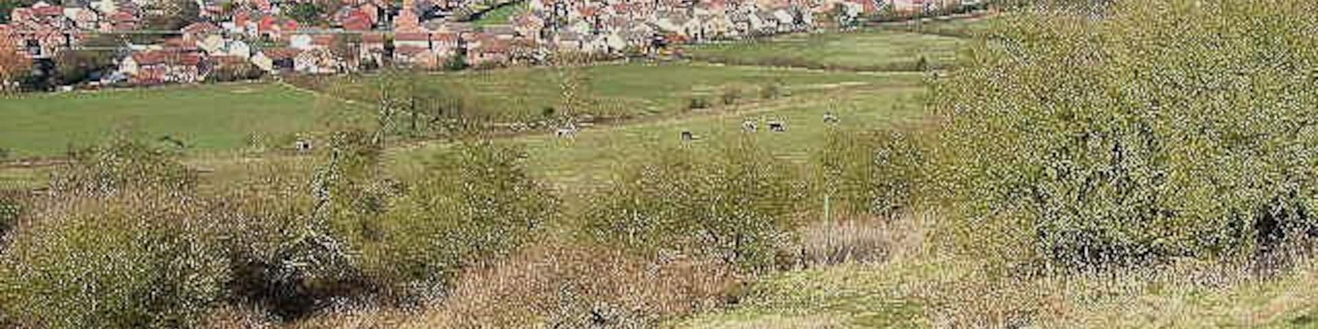 Langley Park. A commanding view from Esh village down into the Browney valley
