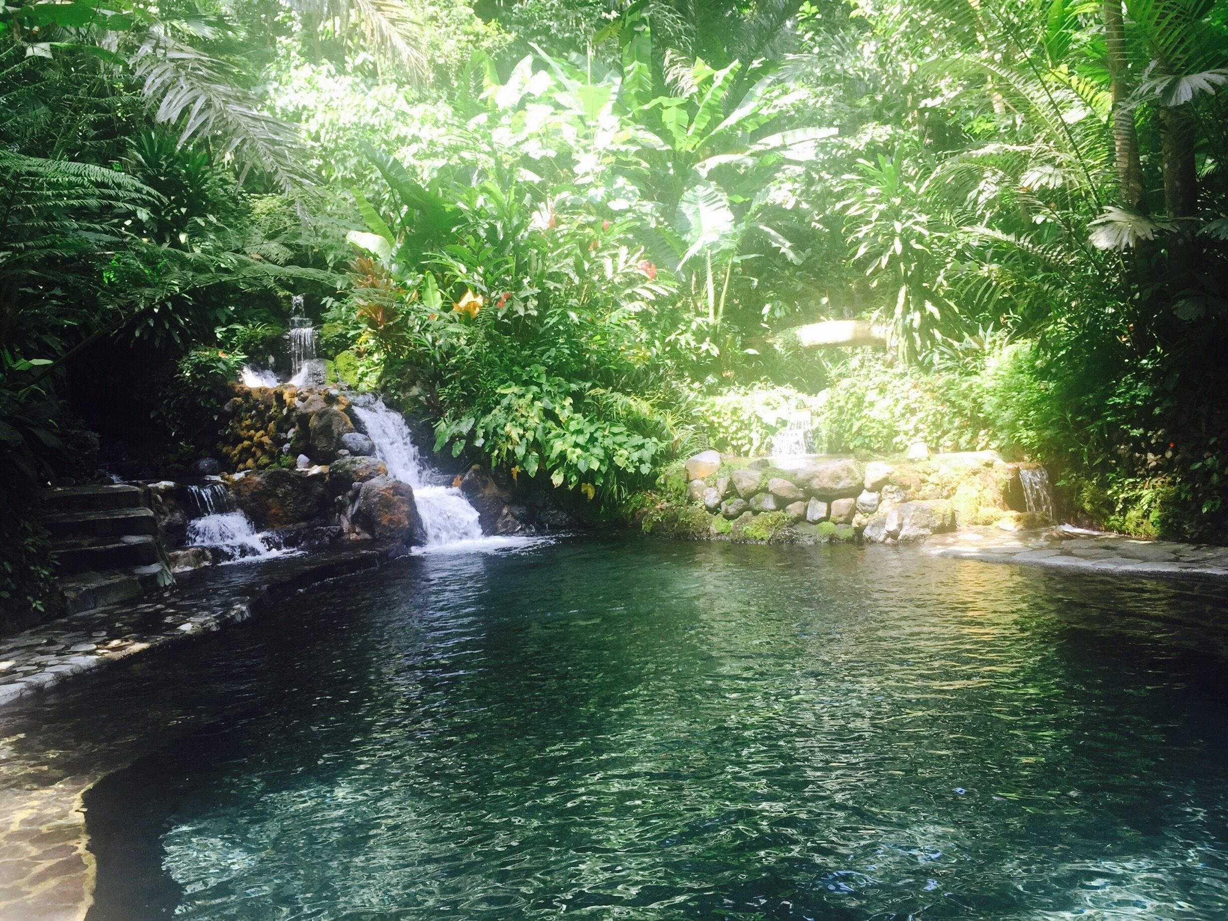 A serene waterfall cascading into a clear pool surrounded by lush greenery.