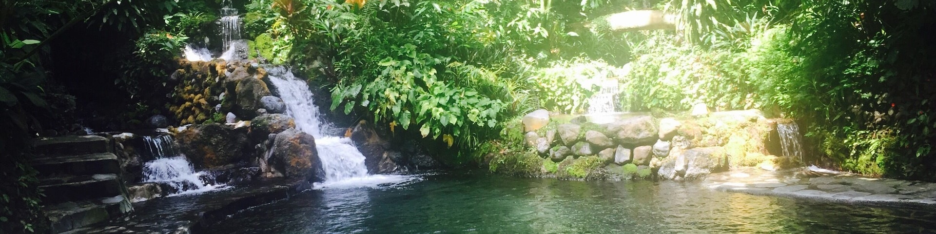 A serene waterfall cascading into a clear pool surrounded by lush greenery.