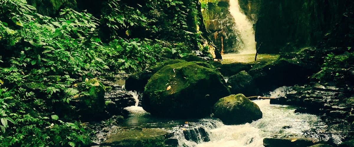 A waterfall surrounded by lush greenery.
