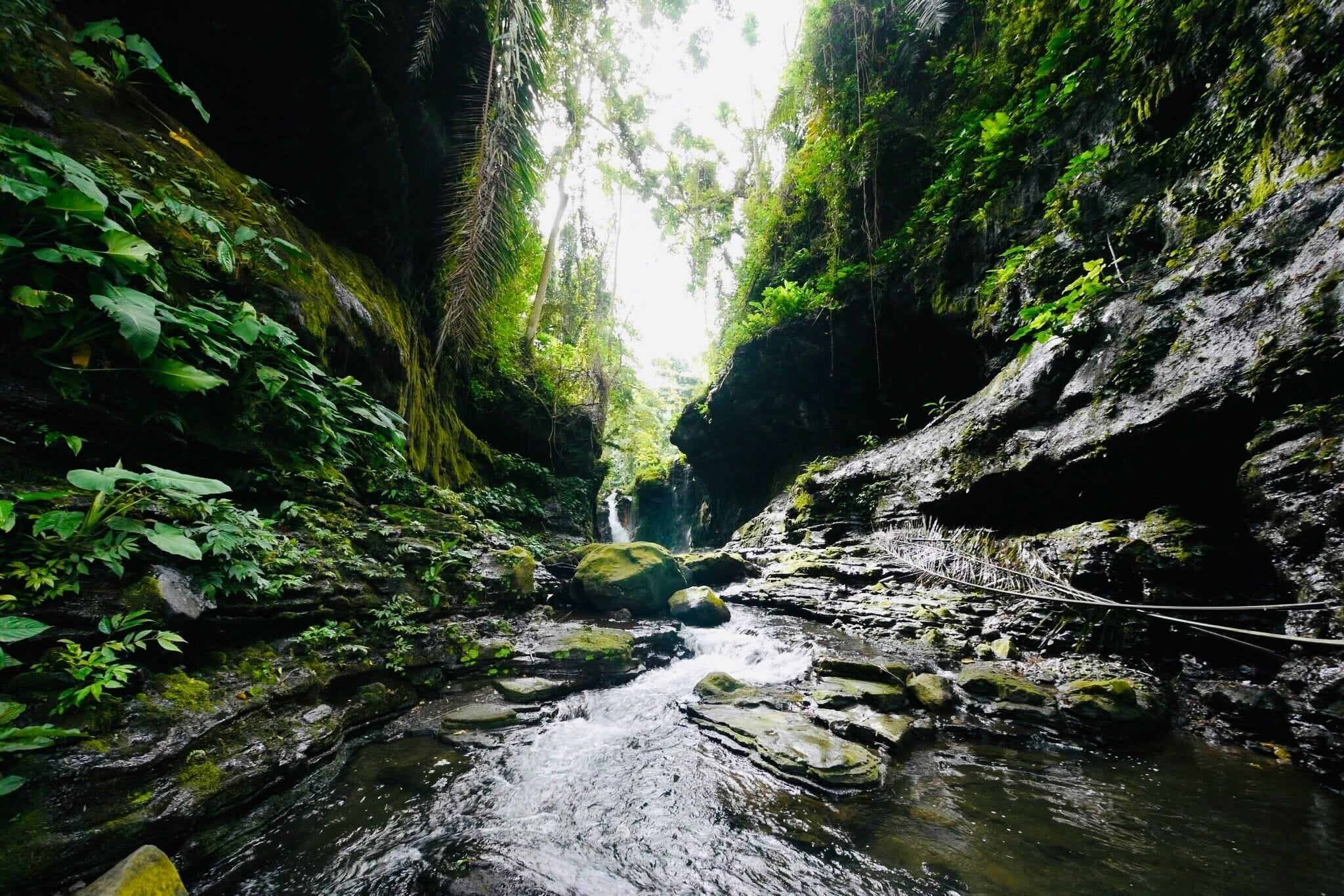 One of my favorite resorts in the Philippines! It has a trail in the #GreatOutdoors and lead you to a hidden #Waterfall. Easy hike and I’d say about 1.5 mile to the waterfall.