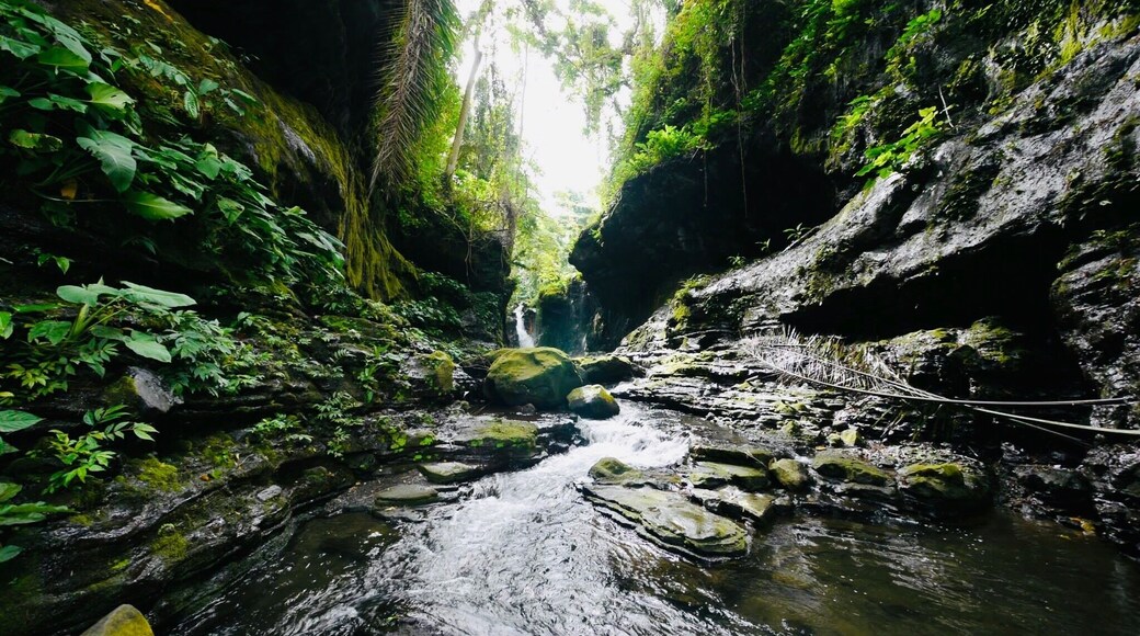 One of my favorite resorts in the Philippines! It has a trail in the #GreatOutdoors and lead you to a hidden #Waterfall. Easy hike and I’d say about 1.5 mile to the waterfall.