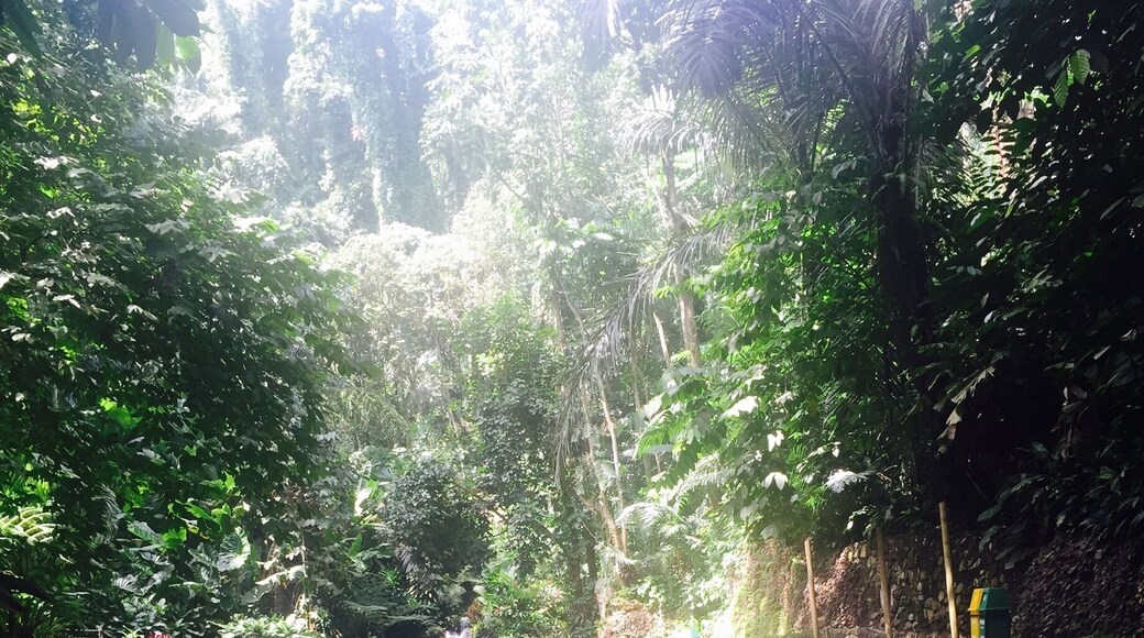 Can't wait to be back there. #hotspring