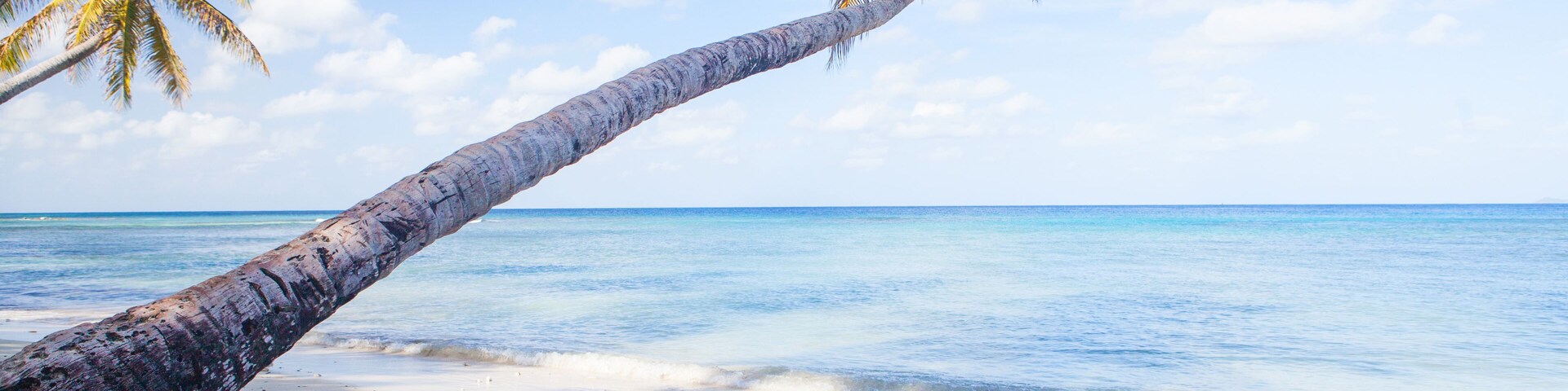 Caribbean Mustique Island one of the Grenadines tropical beach with palm trees and turquoise ocean water