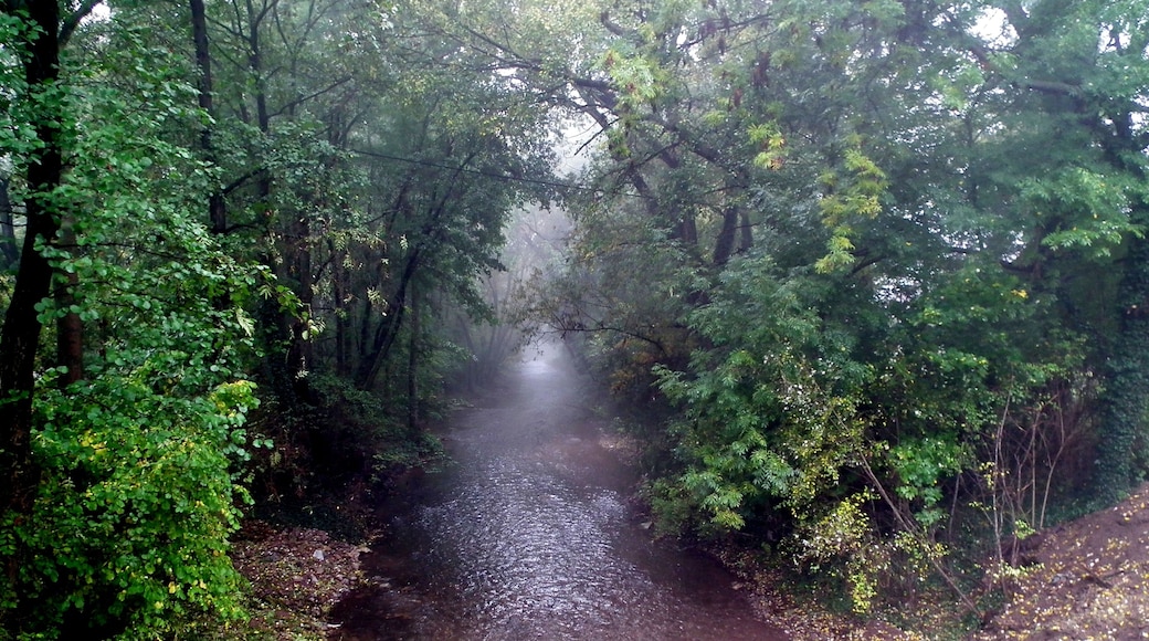речка в Апельштедте