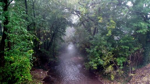 речка в Апельштедте