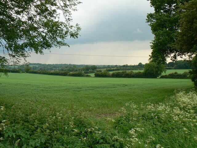 Hedges & Fields - Dummer area View from the public footpath.