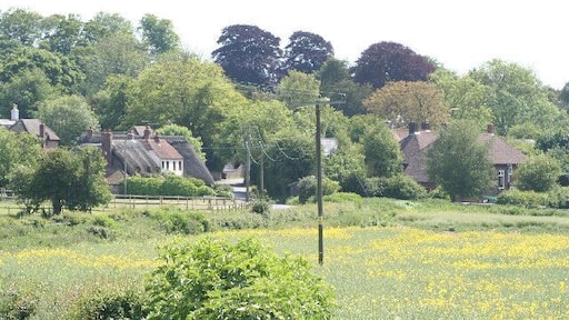 Dummer Village. Dummer, just off junction 7 of the M3 motorway at Basingstoke. Was the home of Sarah, Duchess of York.
