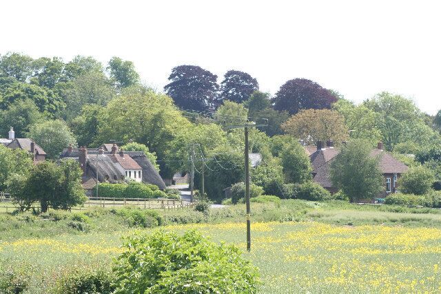 A rural landscape with houses, a field of yellow flowers, and trees.