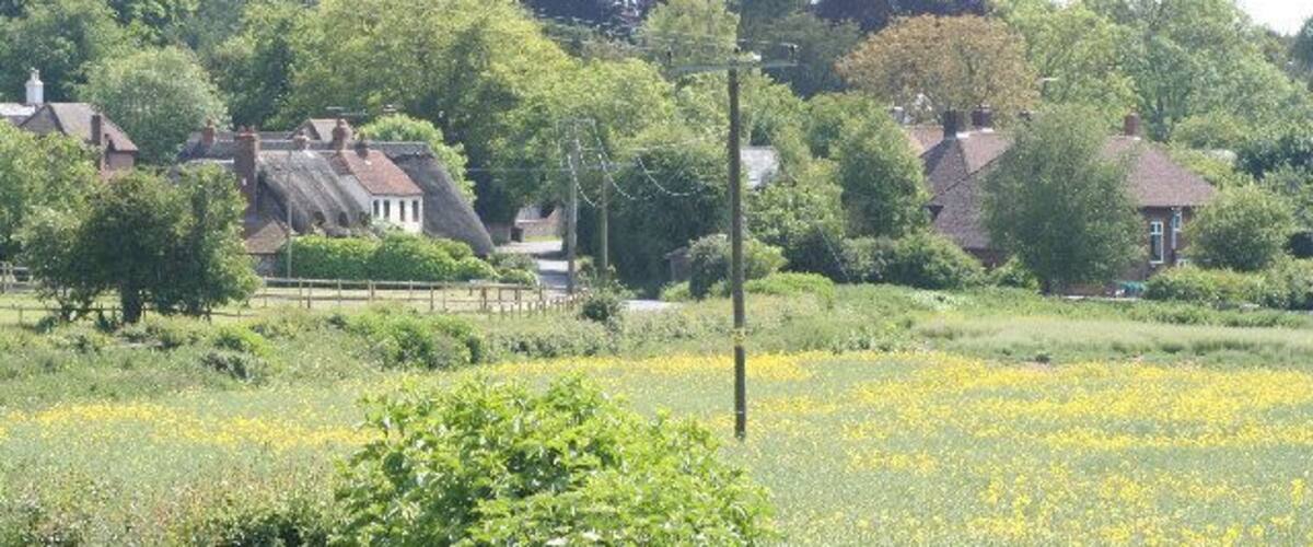A rural landscape with houses, a field of yellow flowers, and trees.