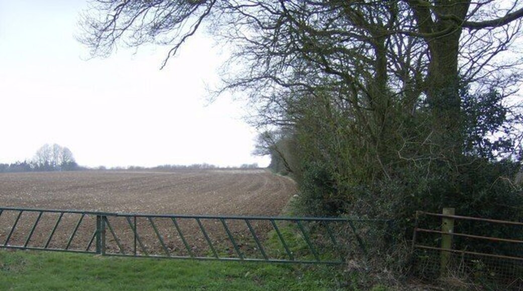 Towards Tidley Hill In the south-east of the square, the Wayfarer's Walk bridleway just touches the square as it makes a right-angle turn. Ahead through the gate is the field rising to Tidley Hill (so named because it is actually hardly a hill?) A footpath comes in from the gate on the right.