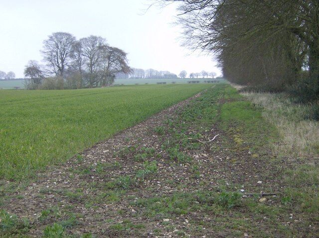 Countryside near Dummer This field headland runs roughly west-east along the southern edge of a very large field taking up a substantial part of the north-western corner of the square. The clump of trees in the middle left is shown on the 1:25K map as pit (dis), one of many such local clay pits in this area. The farming is arable, although this field is fallow left to grass.