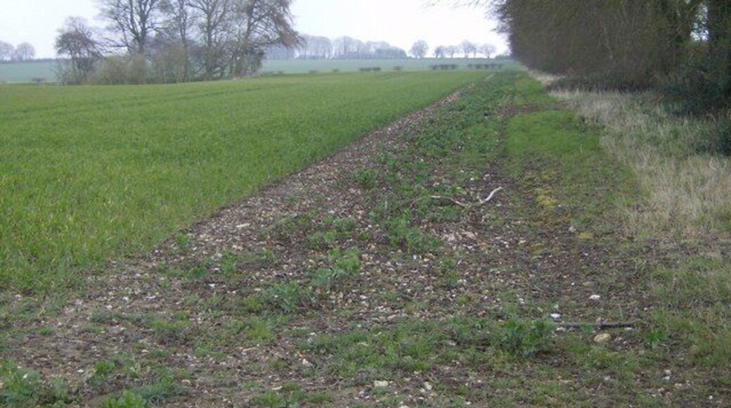 Countryside near Dummer This field headland runs roughly west-east along the southern edge of a very large field taking up a substantial part of the north-western corner of the square. The clump of trees in the middle left is shown on the 1:25K map as pit (dis), one of many such local clay pits in this area. The farming is arable, although this field is fallow left to grass.