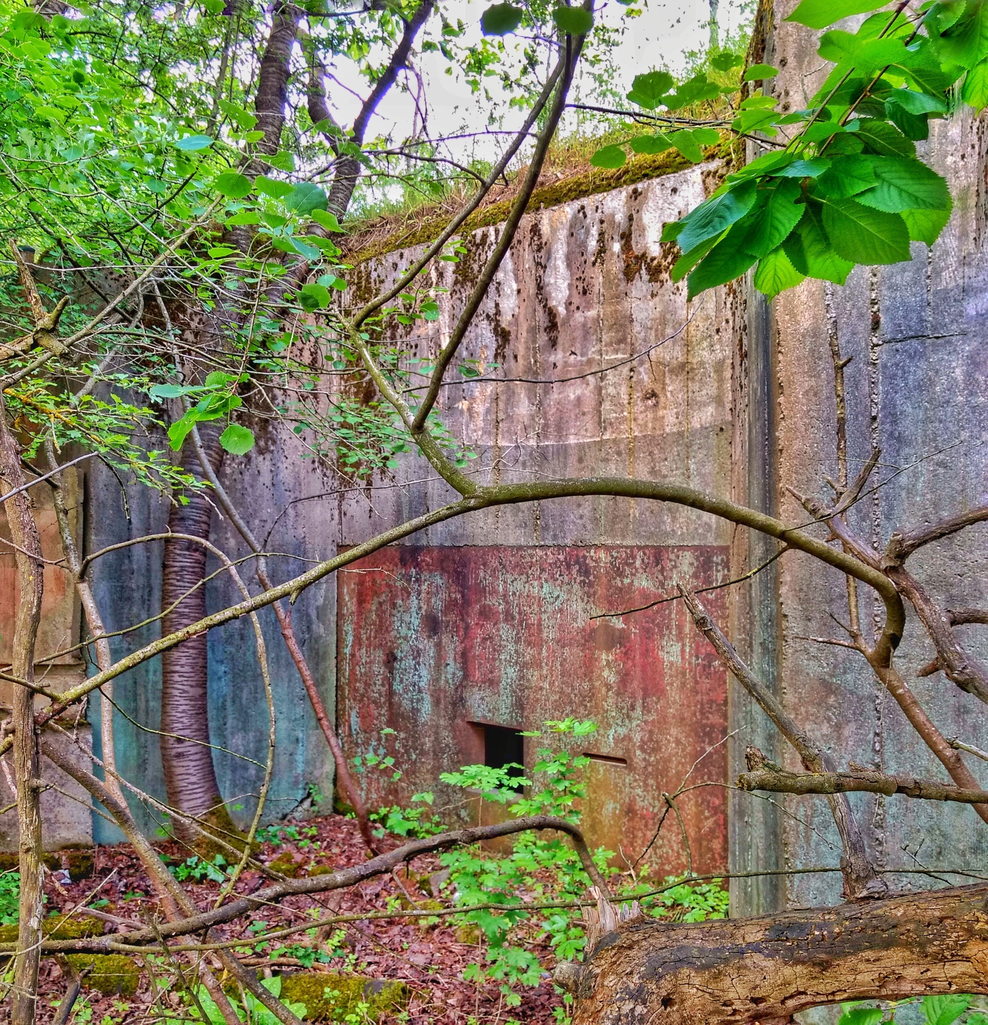 A dilapidated building with overgrown vegetation in a forested area.
