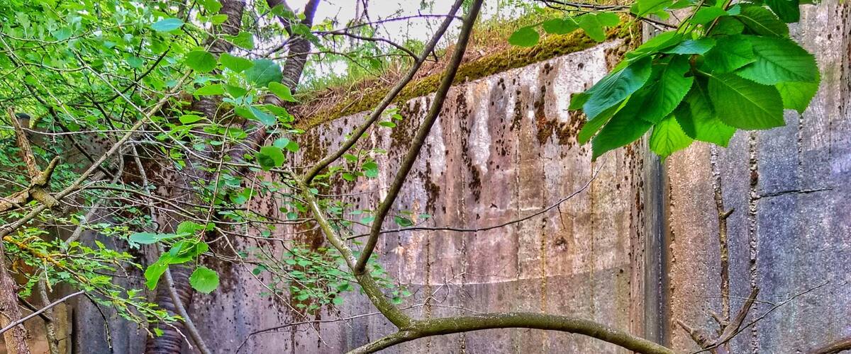 A dilapidated building with overgrown vegetation in a forested area.