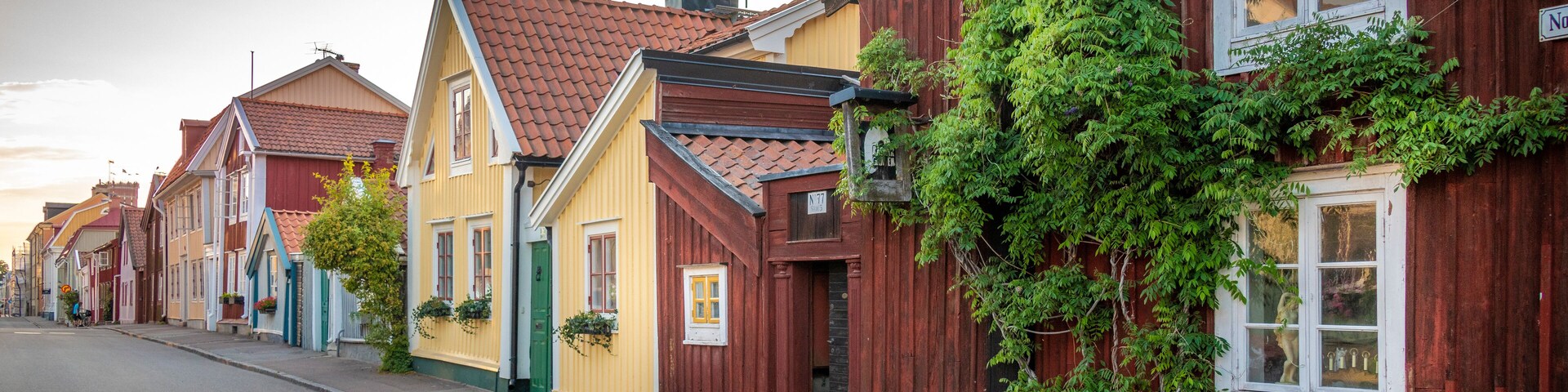 Houses on street