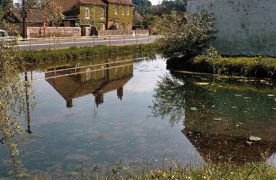 The River Ebble at Coombe Bissett (2) From behind the old mill, looking roughly southeast across the main road through the village.