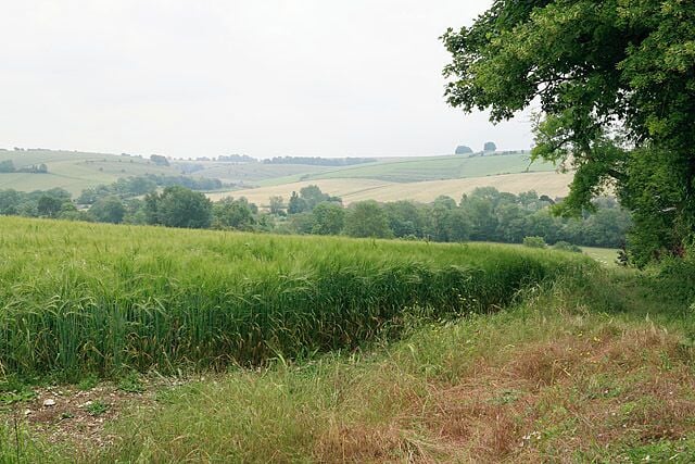 View from footpath east of Homington House, Coombe Bissett. The footpath descends the hill along the hedge at right of photo. The River Ebble is in the valley, and Coombe Bissett is on the far hillside.