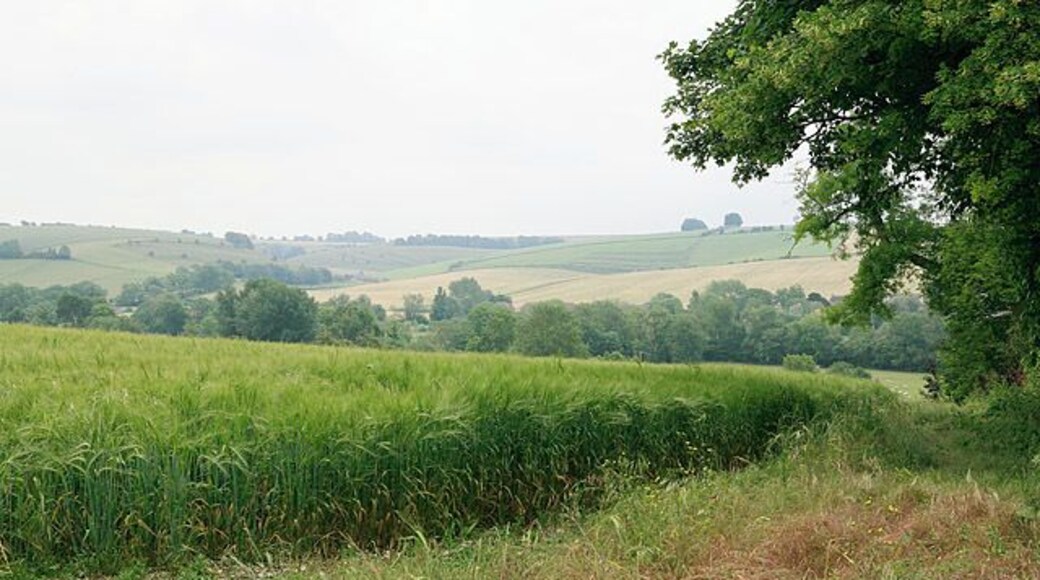 View from footpath east of Homington House, Coombe Bissett. The footpath descends the hill along the hedge at right of photo. The River Ebble is in the valley, and Coombe Bissett is on the far hillside.