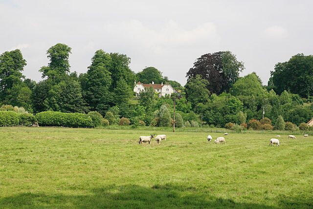 View across Ebble valley to Homington House, Coombe Bissett. Taken from the footpath north of where is crosses the Ebble. Between the sheep and Homington House lie some disused watercress beds.