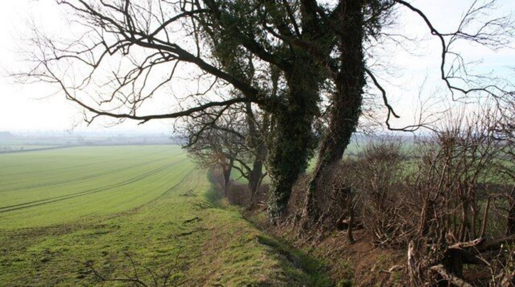 Parish Boundary Ancient hedgeline denoting the boundary between Navenby and Boothby Graffoe parishes