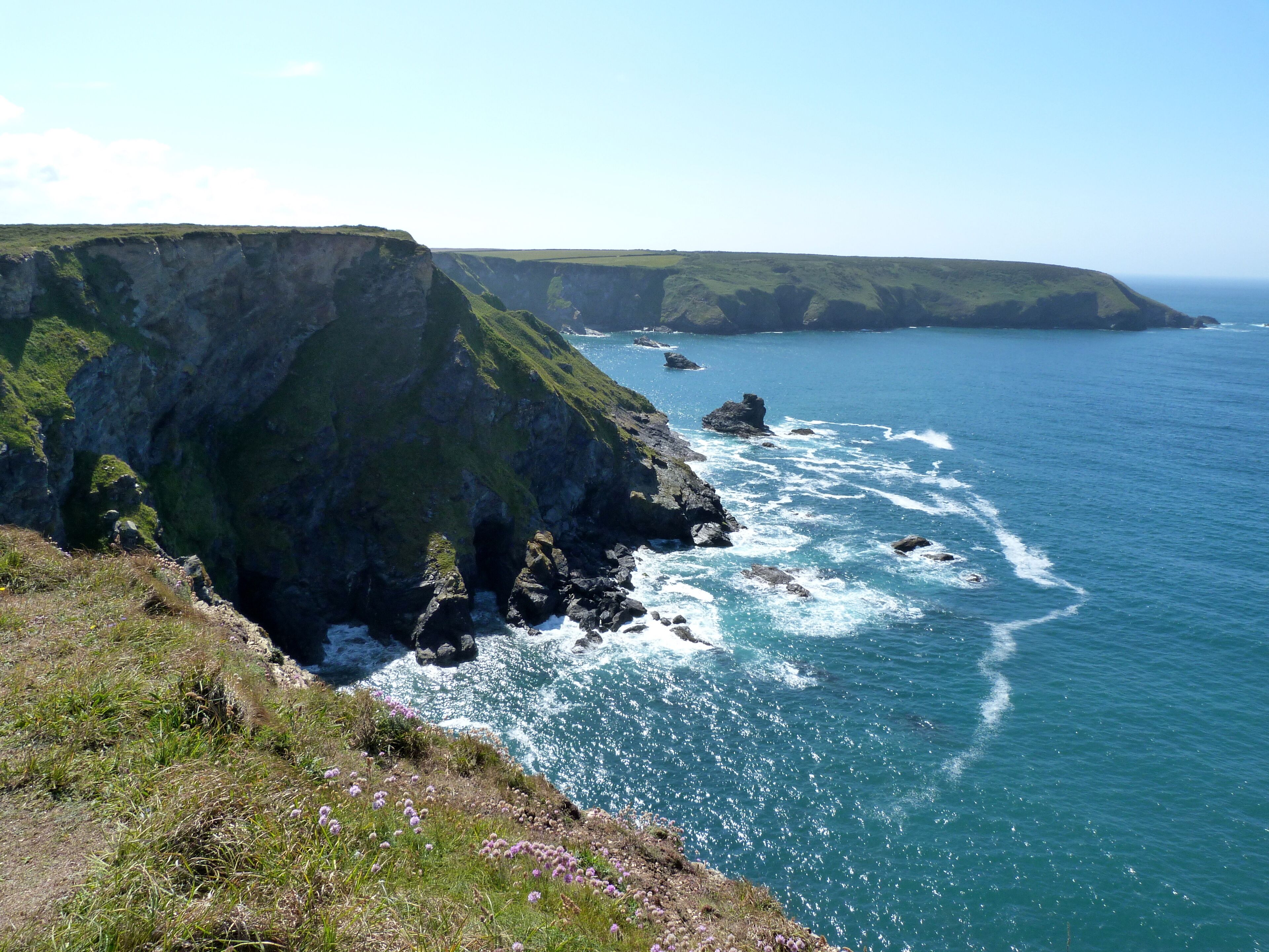 A coastal cliff with a grassy foreground and a view of the ocean.