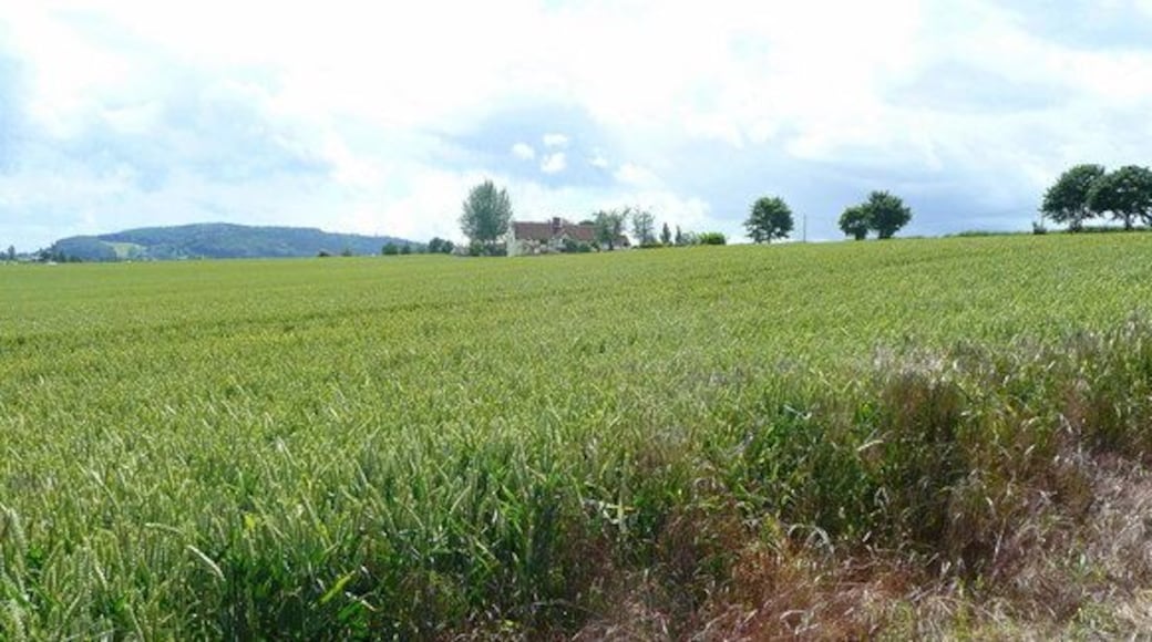 View back along the footpath line. No footpath! The walker must go around the headland to the right to reach the cottage from where 869378 was taken.