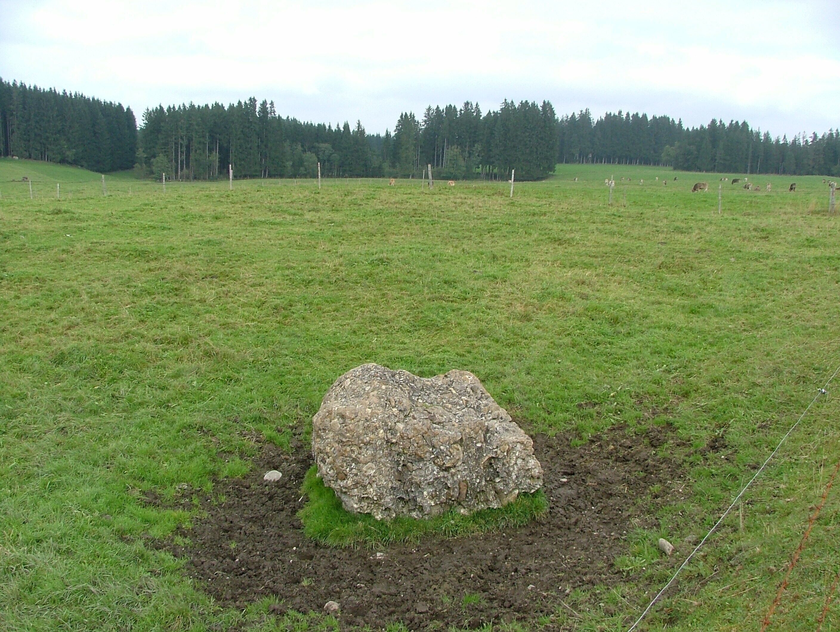 A large rock in a grassy field with a forest in the background.