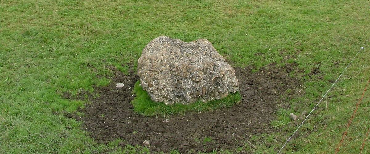 A large rock in a grassy field with a forest in the background.