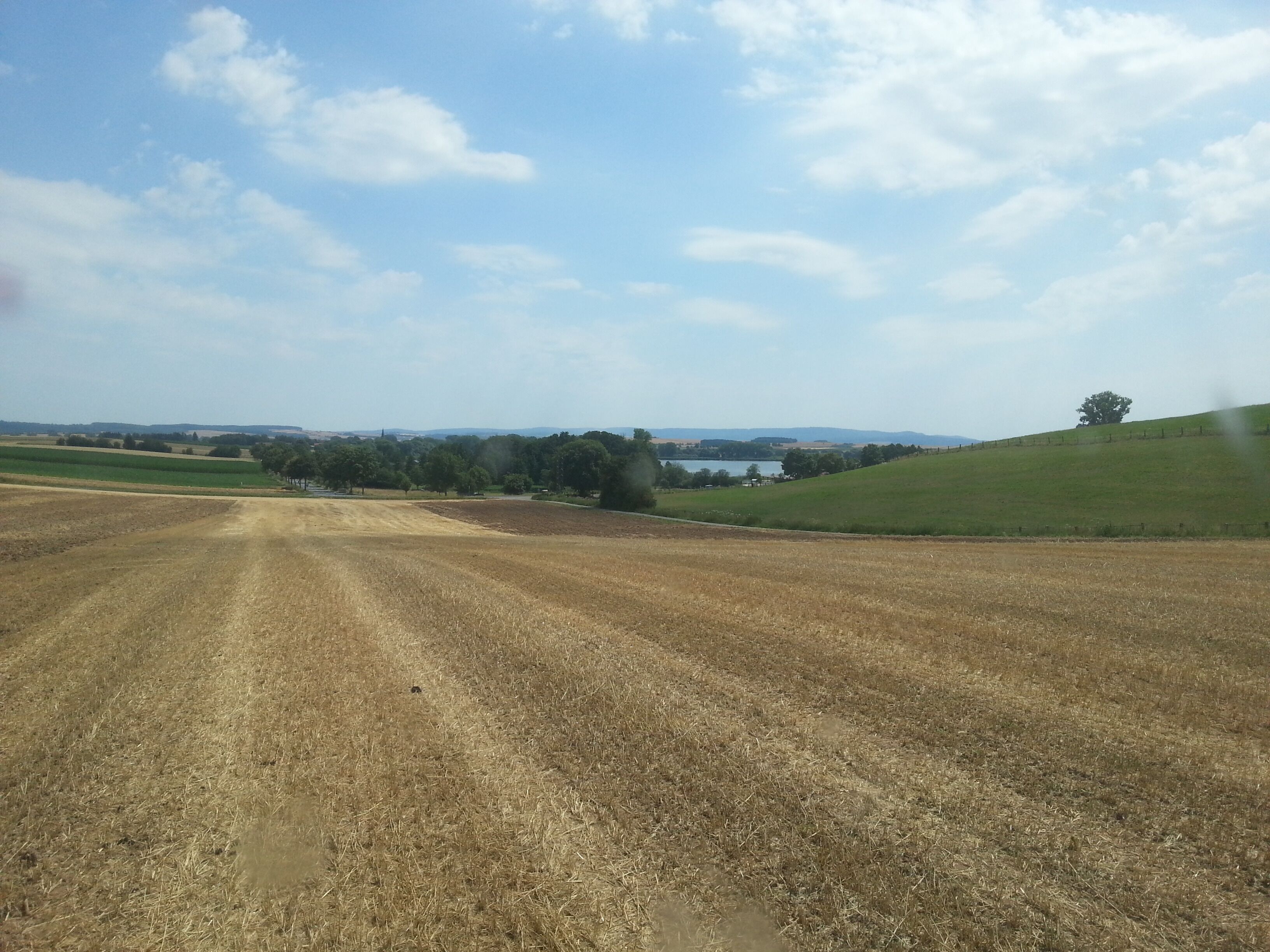 A rural landscape with a dirt road, fields, trees, and a hill with a fence.