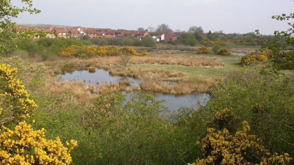 The Carrs, Pity Me, Durham UK. Nature Reserve