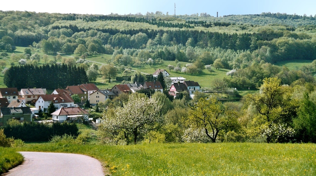 Lautenbach (Ottweiler), view to the village and to the Höcherberg)