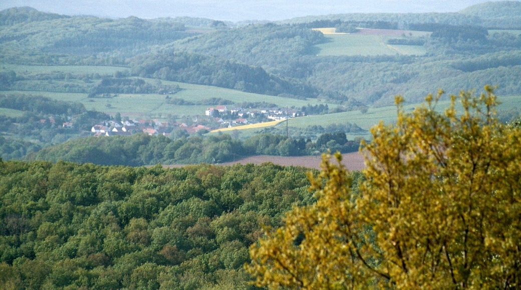 Fürth (Ottweiler), view to the village
