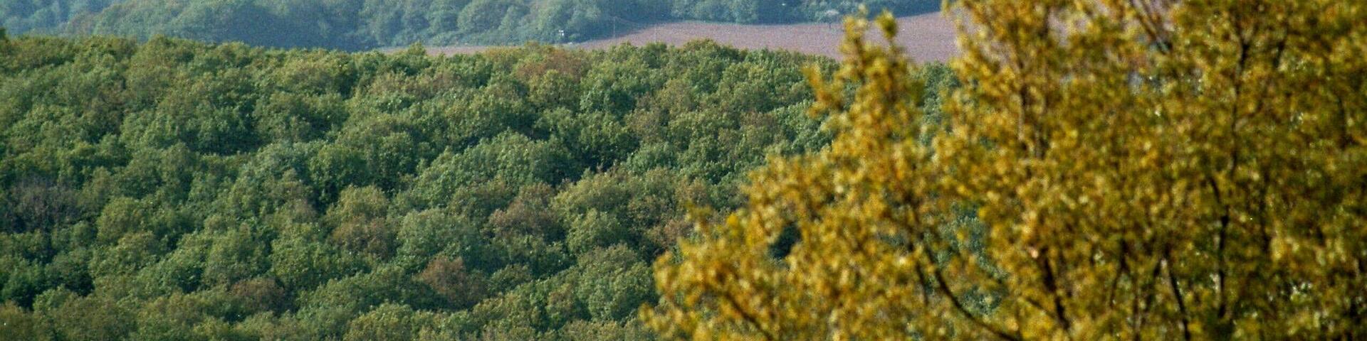 FĂŒrth (Ottweiler), view to the village