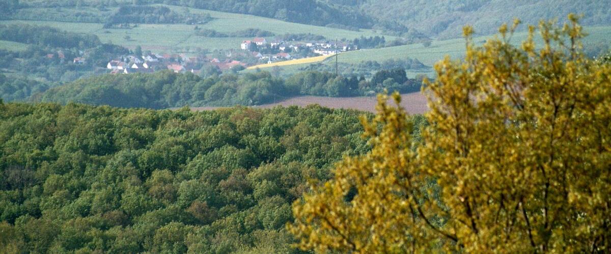 A valley with rolling hills, a small village, and a river.