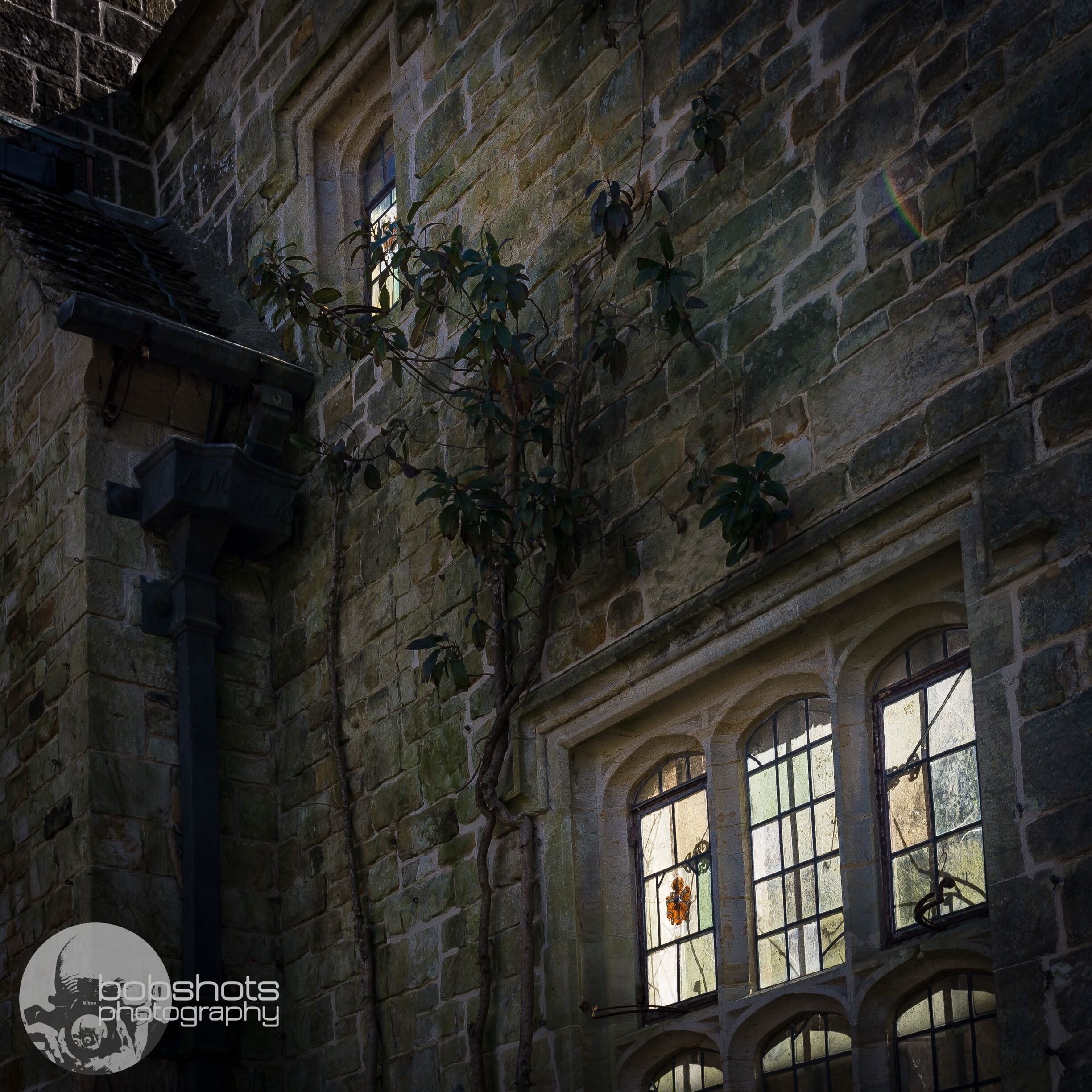 Beautiful old abandoned house in the middle of the gardens...