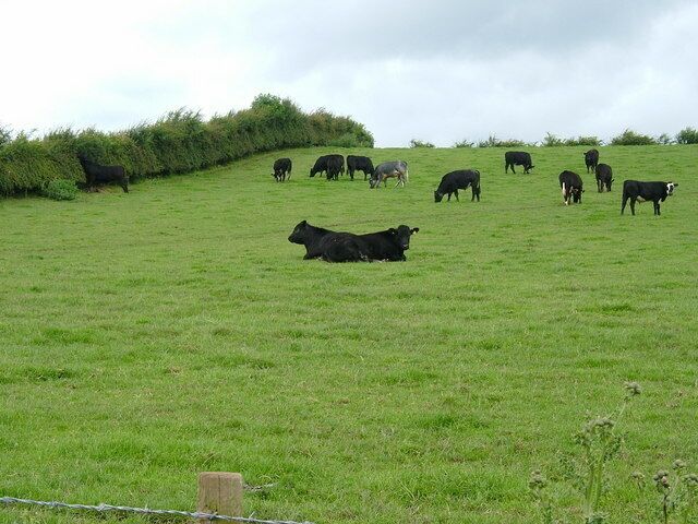 Two heads are better than one Had to do a double take on this one...