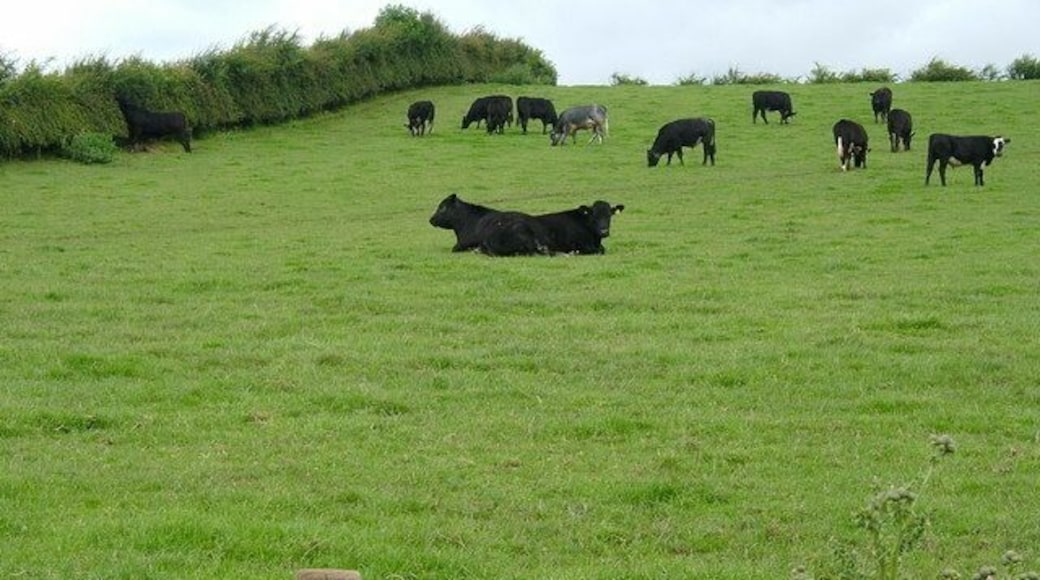 Two heads are better than one Had to do a double take on this one...