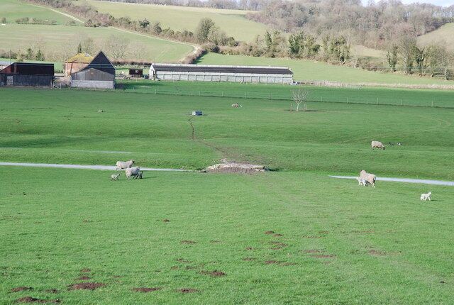 Bridge for sheep At Norrington Farm