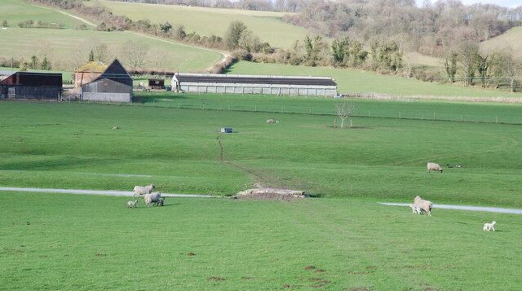 Bridge for sheep At Norrington Farm