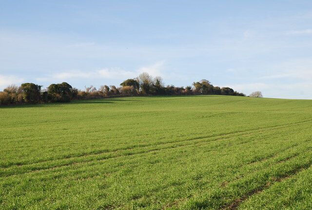 Downland near Alvediston