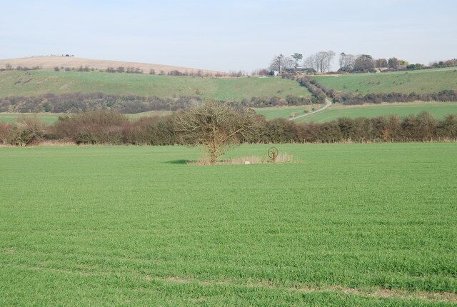 Tree and old pump on lower South Down