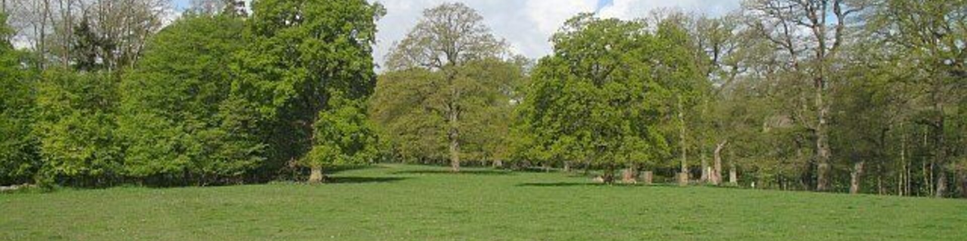 Parkland, Croft Mature trees set in grazing land below Croft Castle.