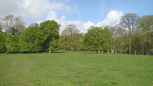 A grassy field with trees and a clear sky.