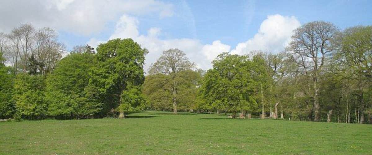 A grassy field with trees and a clear sky.