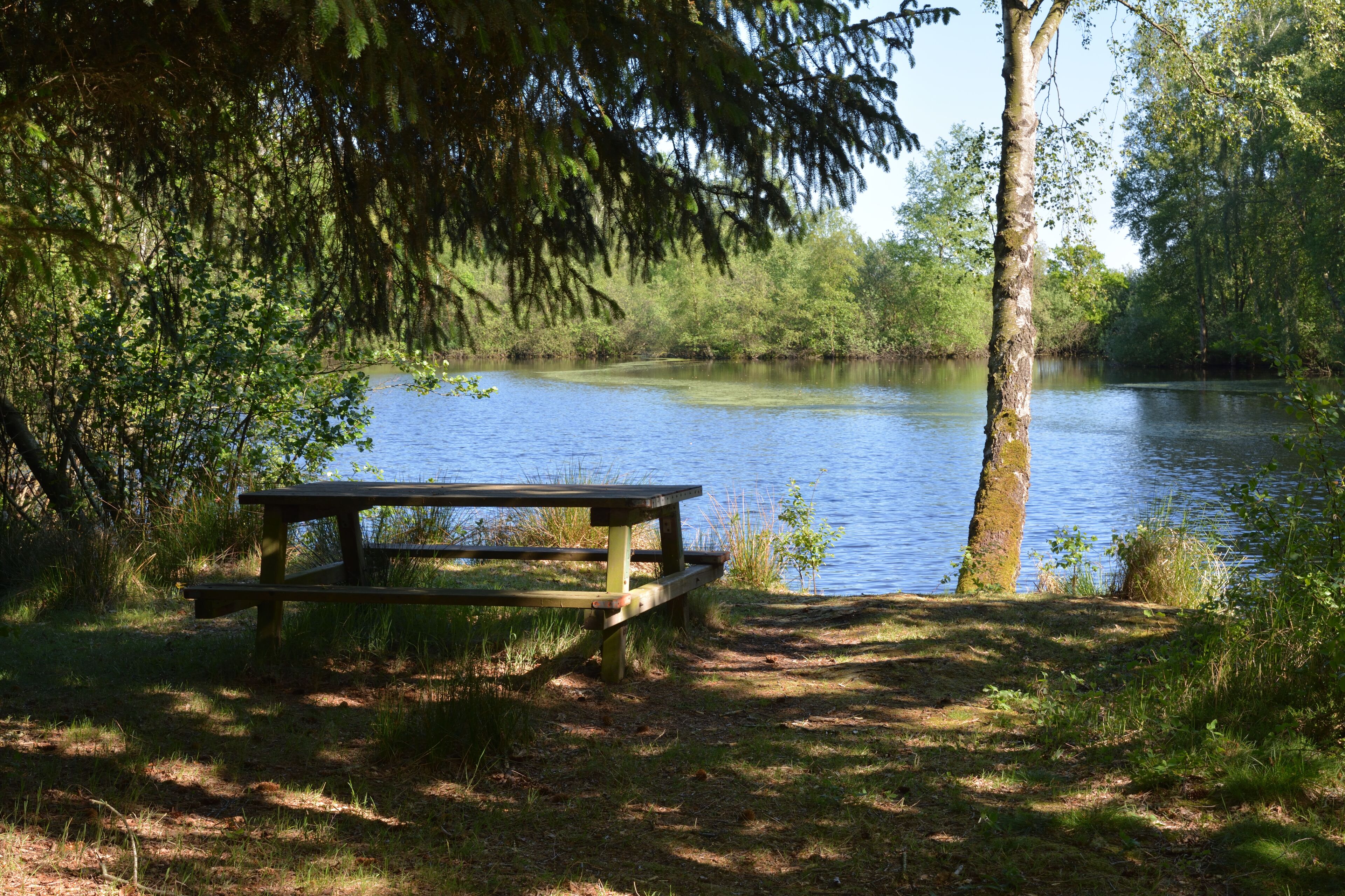 This is a picture of the protected area listed at WDPA under the ID